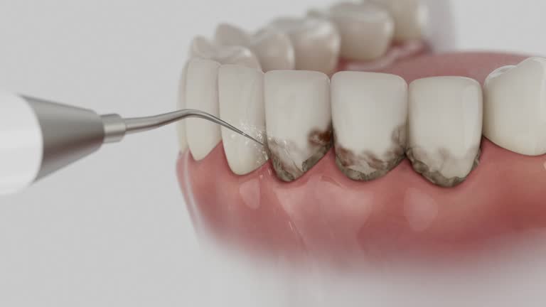 Reliable Dental contractor in Ellington, MO by Dentist Open Now